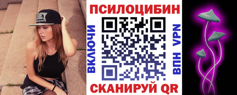 купить наркотик  Грозный  Галлюциногенные грибы мицелий 