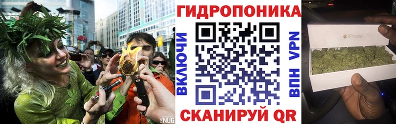 Бошки марихуана VHQ  Грозный 